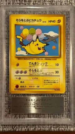 2025年最新】そらをとぶピカチュウ ANAポケモンジェットの人気