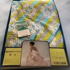 昭和レトロ　西川サマーケット