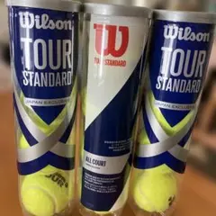 Wilson Tour Standard テニスボール