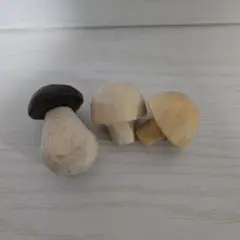 エバート　きのこ