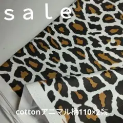 c431□cotton アニマル柄2㍍