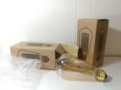白熱電球