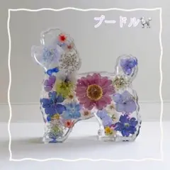 No.357⭐️固まるハーバリウム✨️ プードル 置物