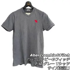 950 Abercrombie&Fitch Tシャツ グレー M 半袖 Vネック