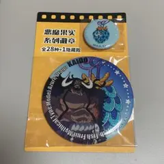 ONEPIECE ワンピース カイドウ 中国限定 能力者缶バッジ