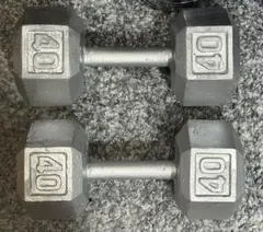 【引き取り限定】40LB（18kg）ダンベルセット