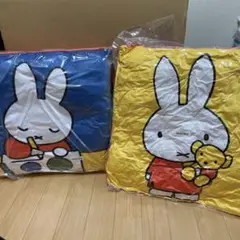 Item thumbnail for item d429b36f-4b38-4559-80b8-59657519de2c