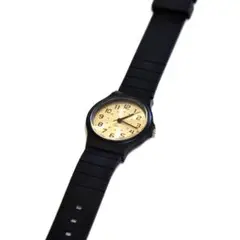 Item thumbnail for item 847deb40-f56f-48f7-b3f1-e6f4a678833a