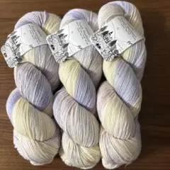 amirisu Parade Handdyed たんぽぽすみれ 3かせ
