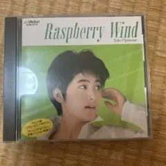 荻野目洋子 / Raspberry Wind　ラズベリーの風