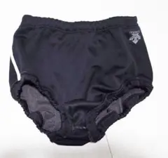 デサント DESCENTE ライン入バレーボール用ブルマ DSP-66W 黒 L