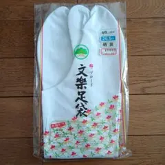 Item thumbnail for item 455defbf-4932-45b8-9e9d-c7a1d2dda279