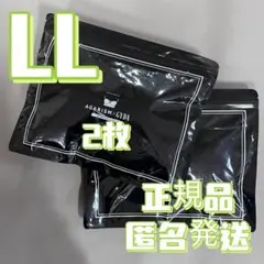 2枚LL 新品未使用 AGARISM×GYDA アップミースタイリングブラ E3