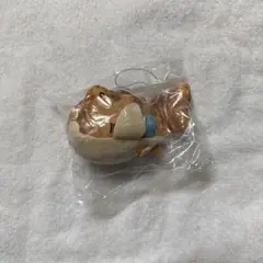 こた サメぬいぐるみ ネコザメ