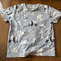 グラニフ　動物柄 グレー Tシャツ　120