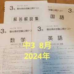 駿台模試中3 2024年8月 第2回 駿台学力テスト 高校受験 早稲アカ3T