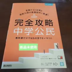 完全攻略中学公民