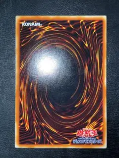 専用