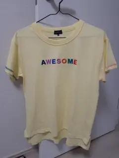 green label relaxing　半袖Tシャツ　イエロー　155
