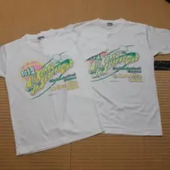 Item thumbnail for item 607bca77-8be8-4f1a-909b-518d36750087