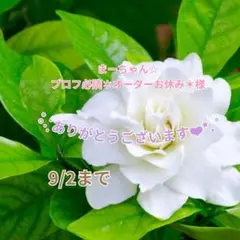 まーちゃん☆プロフ必読＊オーダーお休み＊様 おまとめパーツ(˘͈ᵕ ˘͈ *)♡