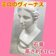 Item thumbnail for item 3730af25-506a-4ea4-a1a1-2094cecb283d