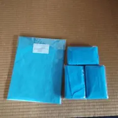 Item thumbnail for item a8edef0b-22bd-4eb8-adc7-321b7eb461bf