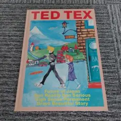 浅井健一　TED TEX