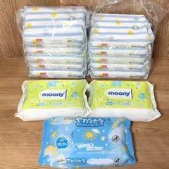 新品 赤ちゃんのおしりふき いろいろセット14個 レック ムーニー イオン