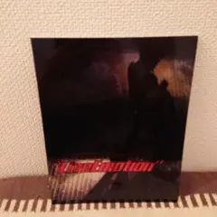相川七瀬 Live:motion ツアーパンフレット【美品】