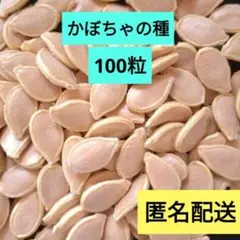 Item thumbnail for item b660f00c-73c1-48ea-8d50-6ccd13946a9f