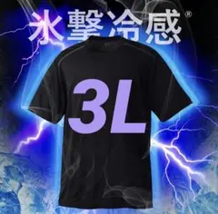 ワークマン 氷撃冷感(R)-10℃半袖Tシャツ A33