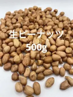 生ピーナッツ500g