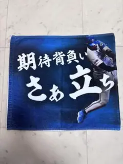 北海道日本ハムファイターズ フェイスタオル 応援歌タオル レイエス 選手