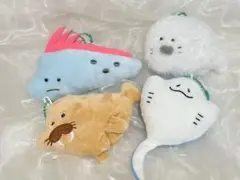 つぶらな瞳 水族館 四つセット