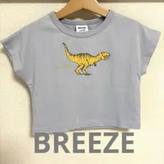 【BREEZE】恐竜プリント Tシャツ/80