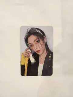 straykids KARMA SKZOO ver 封入トレカ フィリックス