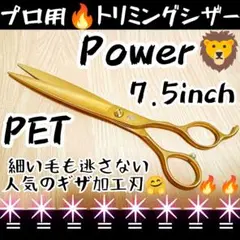 Item thumbnail for item 5ea1bf54-8e71-4a47-915f-3ae529d040a4