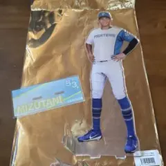 ファイターズ　水谷瞬　ジャンボアクスタ