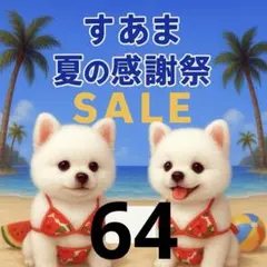 ✨夏の感謝祭セール✨パネル【Ｎｏ．64】