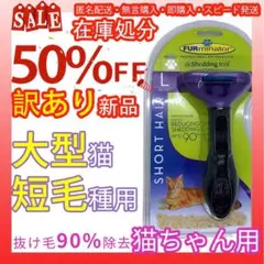 Item thumbnail for item 455a62d6-a7f4-4401-8319-becc2de246ed