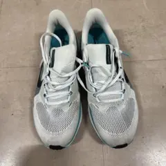 ペガサス41 NIKE 30cm