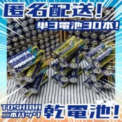 東芝アルカリ乾電池 単3/30 本