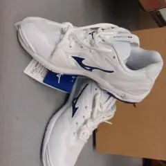 Mizuno ハンドボールシューズ ウェブステルス6