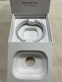 純正 未使用 AirPods Pro Lightningケーブル タイプc
