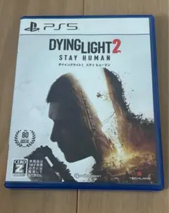 PS5 ダイイングライト2