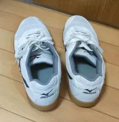 MIZUNO 体育館シューズ 27cm