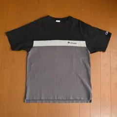 Champion チャンピオン Tシャツ SHIPS any 別注 パネル 半袖