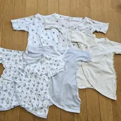 Item thumbnail for item 706694b3-f53a-4a0d-82dc-cbc4c8118596