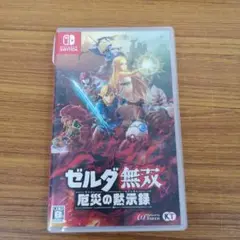 Nintendo Switch用ソフト 「ゼルダ無双 厄災の黙示録」